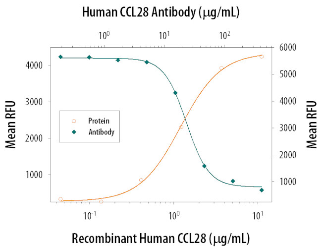 CCL28 Antibody in Neutralization (Neu)