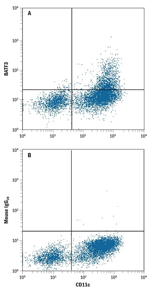 BATF3 Antibody in Flow Cytometry (Flow)