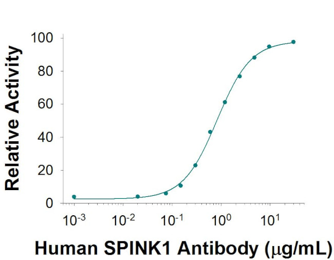 SPINK1 Antibody in Neutralization (Neu)
