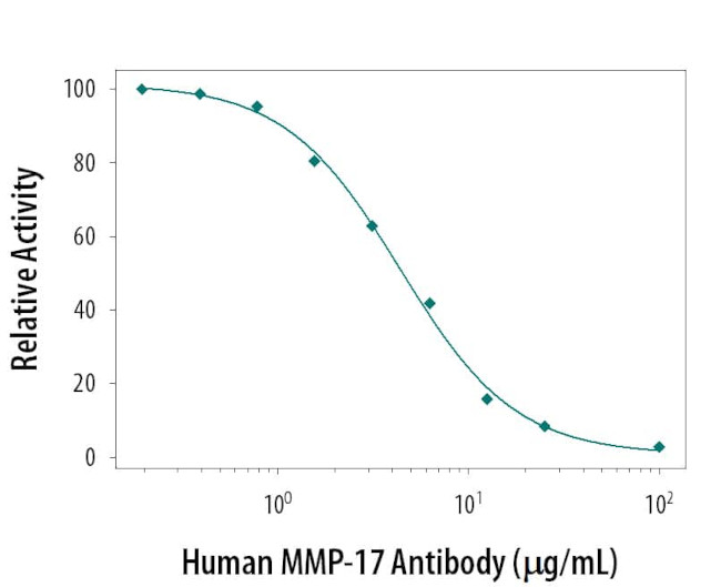 MMP17 Antibody in Neutralization (Neu)