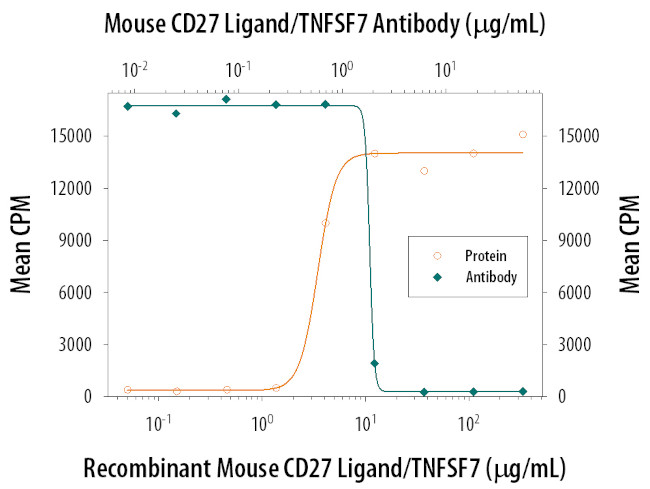 CD70 Antibody in Neutralization (Neu)