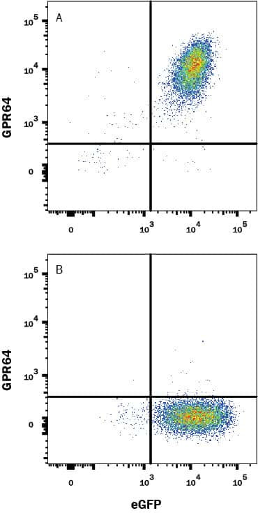 GPR64 Antibody in Flow Cytometry (Flow)