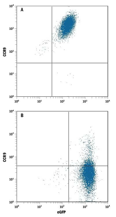 CCR9 Antibody in Flow Cytometry (Flow)