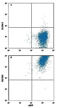 SLC5A5 Antibody in Flow Cytometry (Flow)