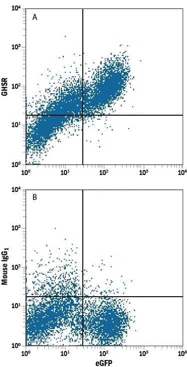 GHSR Antibody in Flow Cytometry (Flow)