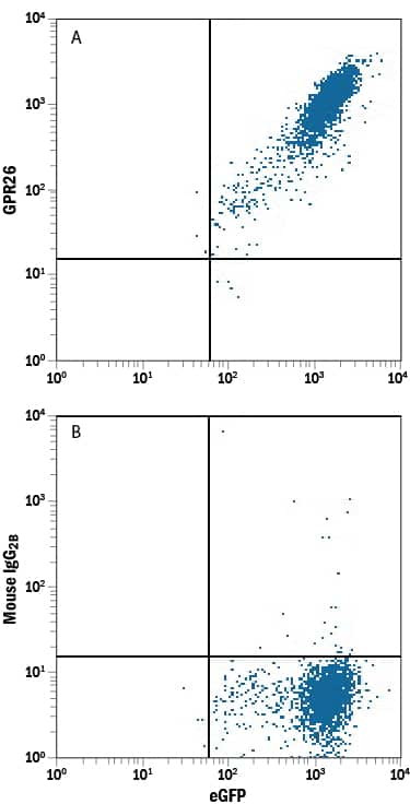 GPR26 Antibody in Flow Cytometry (Flow)