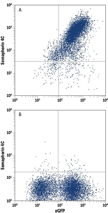 SEMA4C Antibody in Flow Cytometry (Flow)