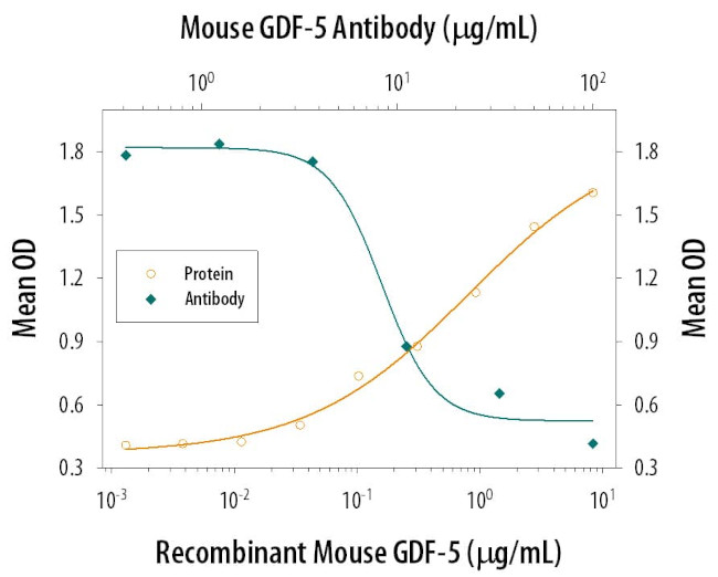 GDF5 Antibody in Neutralization (Neu)