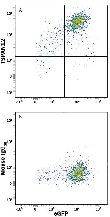 TSPAN12 Antibody in Flow Cytometry (Flow)