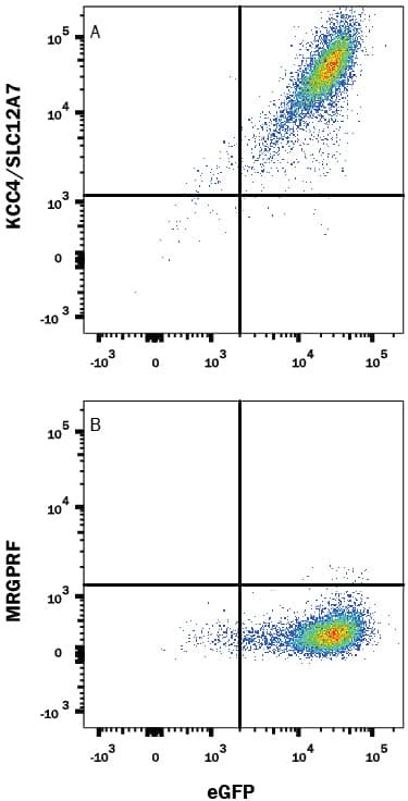 KCC4 Antibody in Flow Cytometry (Flow)