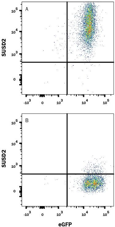 SUSD2 Antibody in Flow Cytometry (Flow)