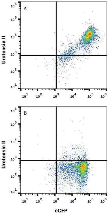 Urotensin II Receptor Antibody in Flow Cytometry (Flow)