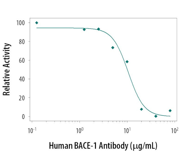 BACE1 Antibody in Neutralization (Neu)