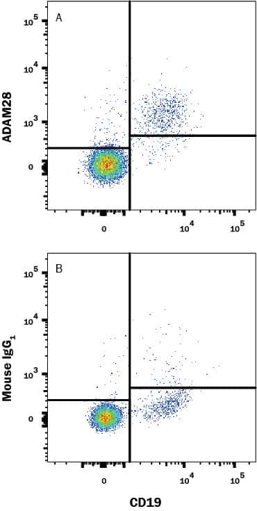 ADAM28 Antibody in Flow Cytometry (Flow)