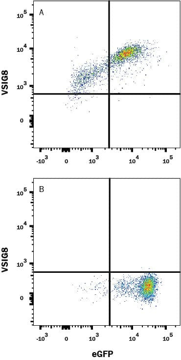 VSIG8 Antibody in Flow Cytometry (Flow)
