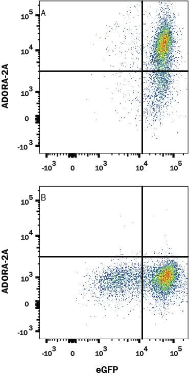 ADORA2A/ADORA2B Antibody in Flow Cytometry (Flow)