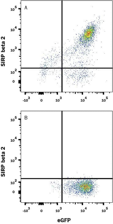 SIRPB2 Antibody in Flow Cytometry (Flow)