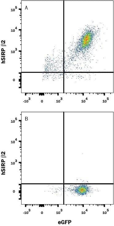SIRPB2 Antibody in Flow Cytometry (Flow)