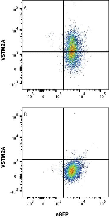 VSTM2A Antibody in Flow Cytometry (Flow)