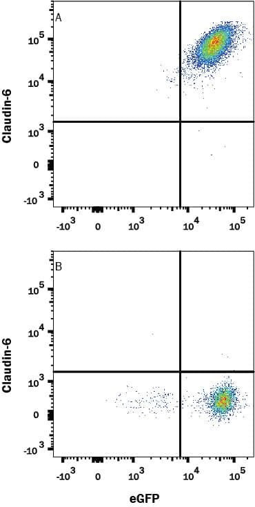 Claudin 6 Antibody in Flow Cytometry (Flow)