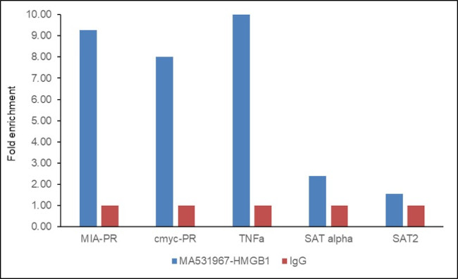 HMGB1 Antibody in ChIP Assay (ChIP)