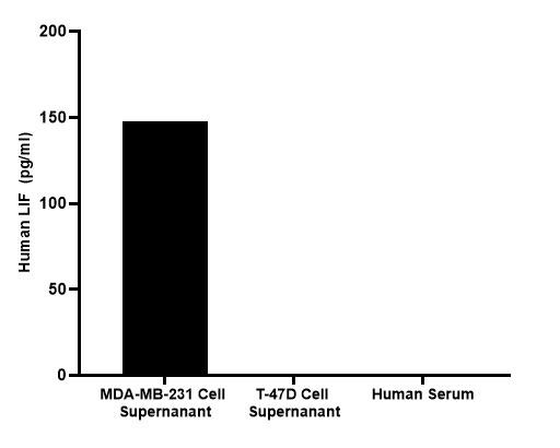 LIF Antibody in ELISA (ELISA)