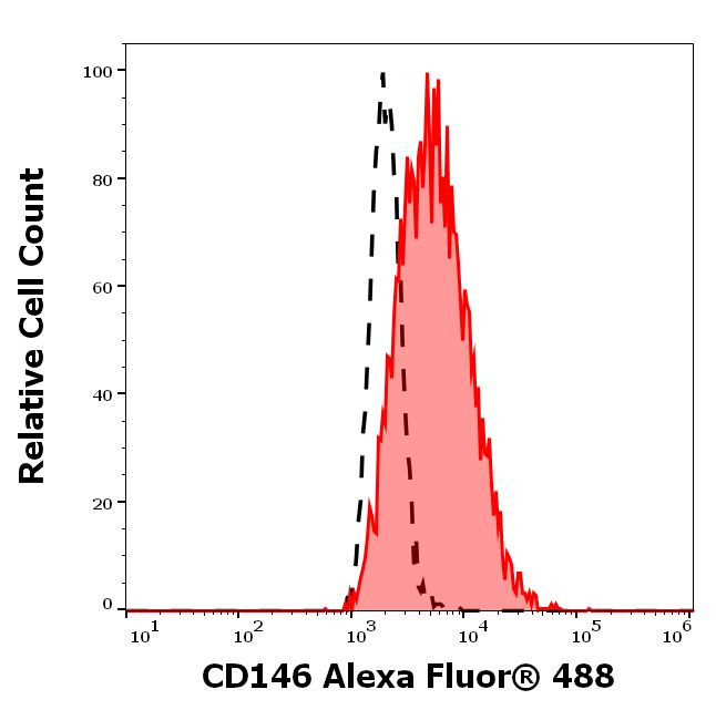 CD146 Antibody in Flow Cytometry (Flow)