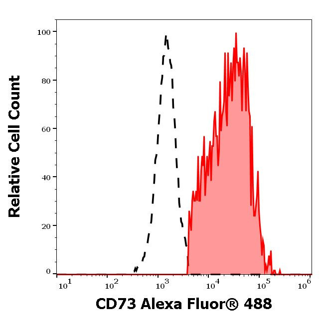 CD73 Antibody in Flow Cytometry (Flow)