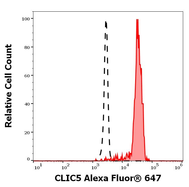 CLIC5 Antibody in Flow Cytometry (Flow)