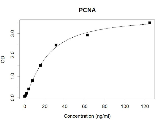 PCNA Antibody in ELISA (ELISA)