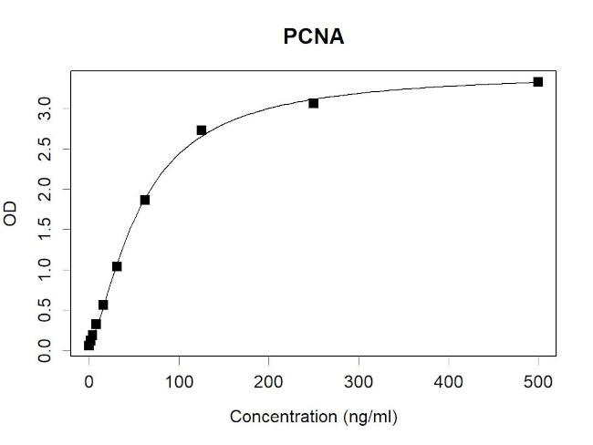 PCNA Antibody in ELISA (ELISA)