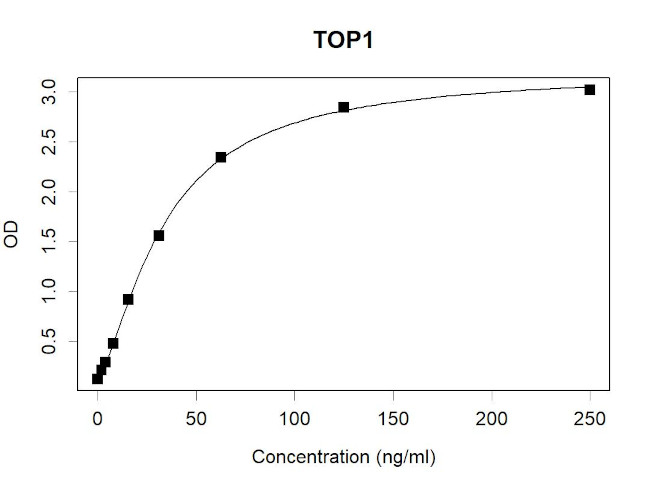 TOP1 Antibody in ELISA (ELISA)