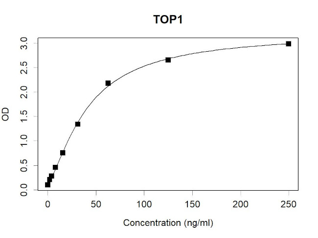 TOP1 Antibody in ELISA (ELISA)