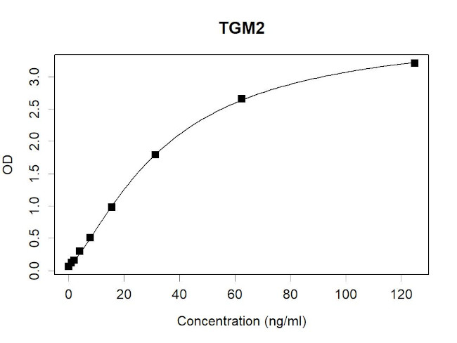 TGM2 Antibody in ELISA (ELISA)