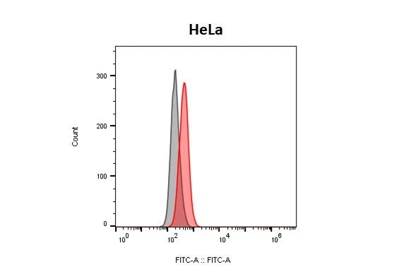HRH1 Antibody in Flow Cytometry (Flow)