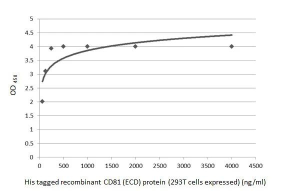 CD81 Antibody in ELISA (ELISA)
