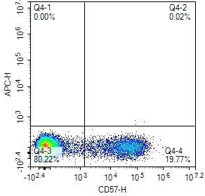 CD57 Antibody in Flow Cytometry (Flow)