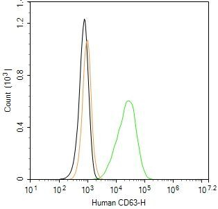 CD63 Antibody in Flow Cytometry (Flow)