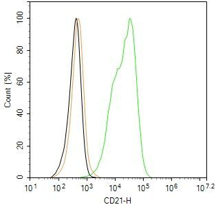 CD21 Antibody in Flow Cytometry (Flow)