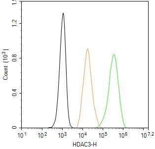 HDAC3 Antibody in Flow Cytometry (Flow)