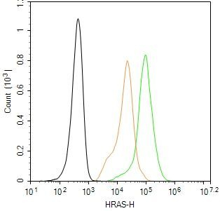 H-Ras Antibody in Flow Cytometry (Flow)