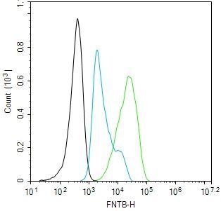 FNTB Antibody in Flow Cytometry (Flow)