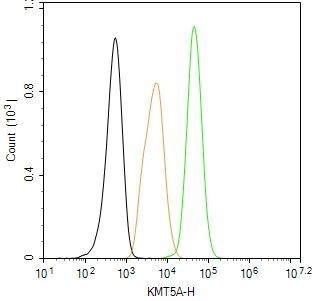 SETD8 Antibody in Flow Cytometry (Flow)