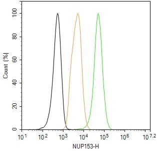 NUP153 Antibody in Flow Cytometry (Flow)