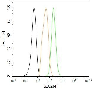SEC23A Antibody in Flow Cytometry (Flow)