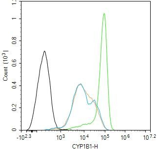 CYP1B1 Antibody in Flow Cytometry (Flow)