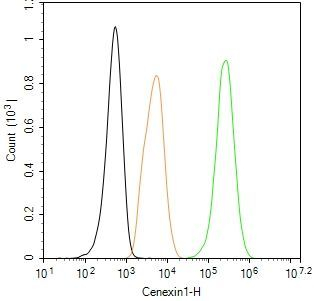 ODF2 Antibody in Flow Cytometry (Flow)
