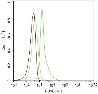 RUVBL1 Antibody in Flow Cytometry (Flow)