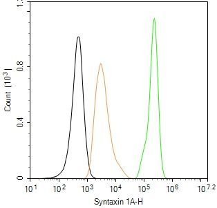 Syntaxin 1 Antibody in Flow Cytometry (Flow)
