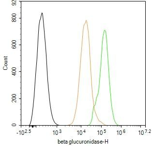 GUSB Antibody in Flow Cytometry (Flow)